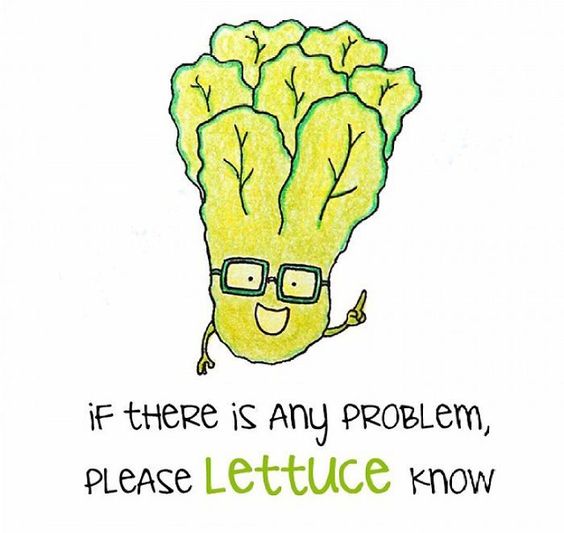 lettuce doodle