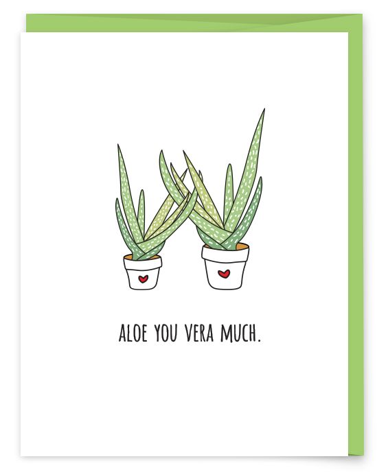 aloe vera doodle