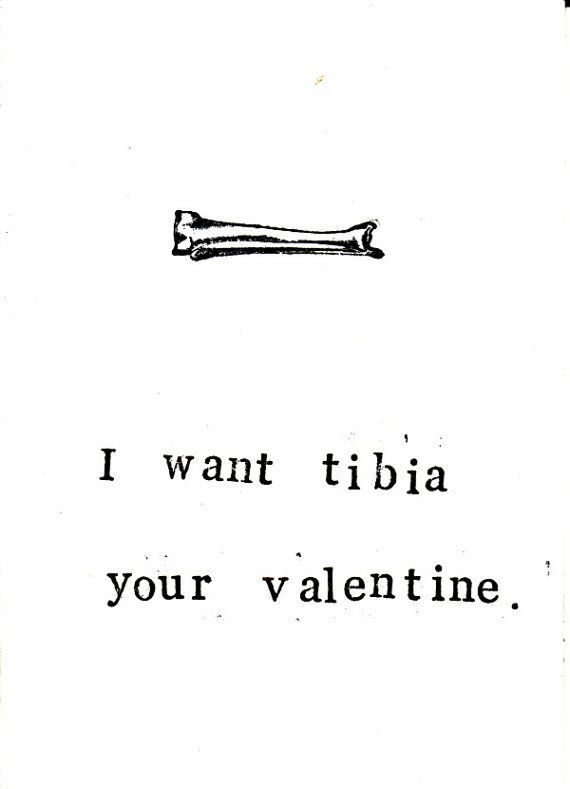 anatomy tibia pun