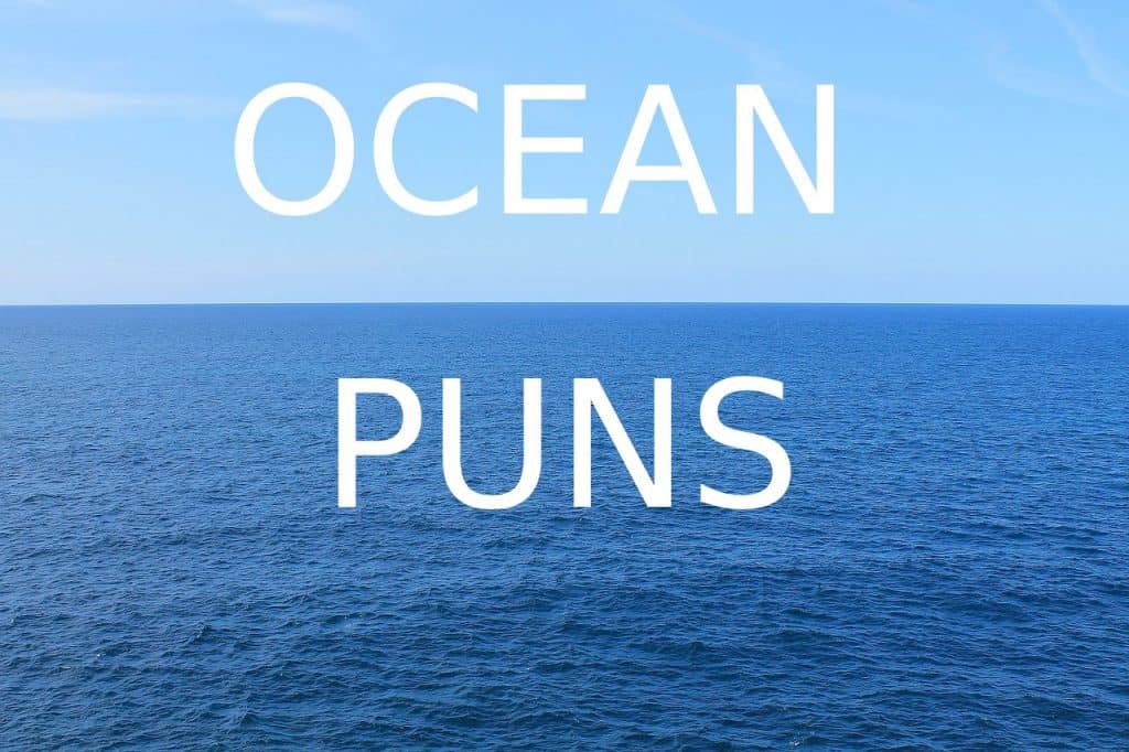 Ocean Puns